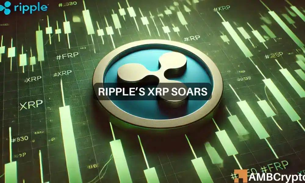 Whales Drive XRP to Yearly High - Are Altcoins Still Undervalued?