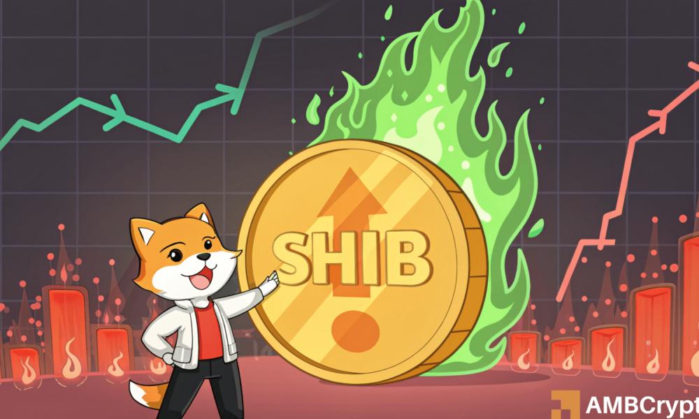 Shiba Inu: How a 580% Burn Rate Spike Is Helping Wet Skin Holders