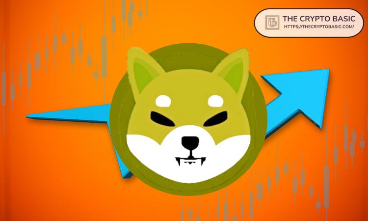 Shiba Inu Adds 840,000 in the Past Year
