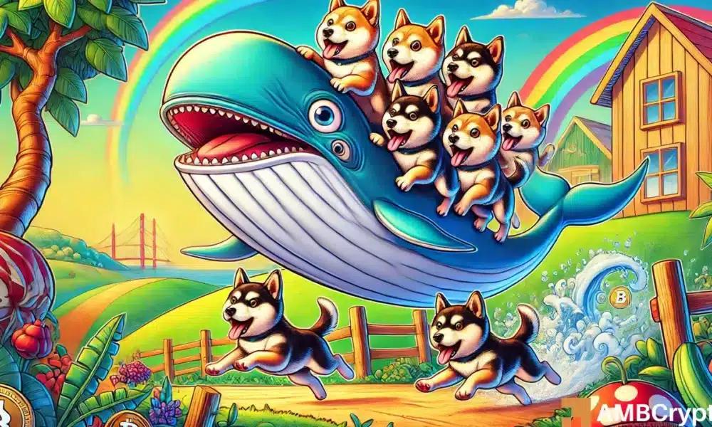 为什么即使Dogecoin价格下跌,鲸鱼仍然持有?